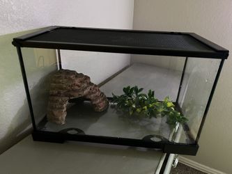 10 Gallon Aquarium Kit