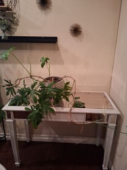 Wood table