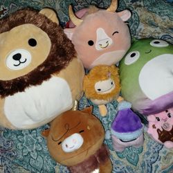 Stuffed Animals 