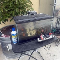 Fishtank