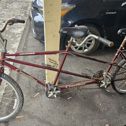 Tandem