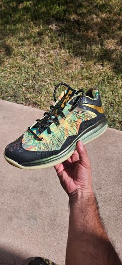 Nike lebron 10 low champ pack jordan dunk asic