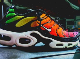 Nike Air Max Plus Multicolor Sneaker
