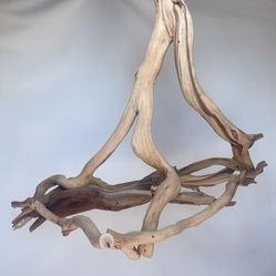 Hanging Island Parrot Tree Swing