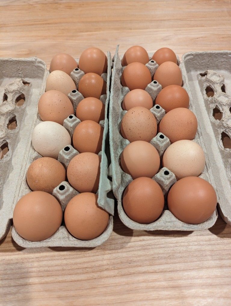 Farm Fresh Eggs