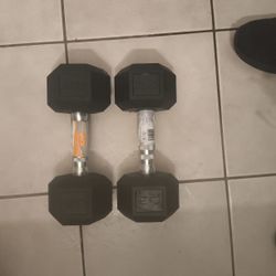 2 20 Lbs Dumbbells
