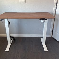 Stand Up Desk