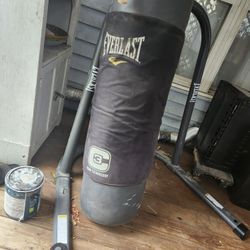 Everlast Punching Bag And Stand
