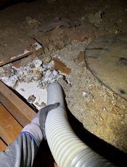 ATTIC VACUUM, ATTIC INSULATION, DRILL AND FILL INSULATION.