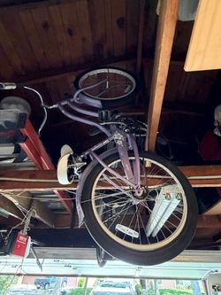 Beach cruiser