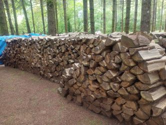 Ready to burn now. $250 for a cord of seasoned and split maple