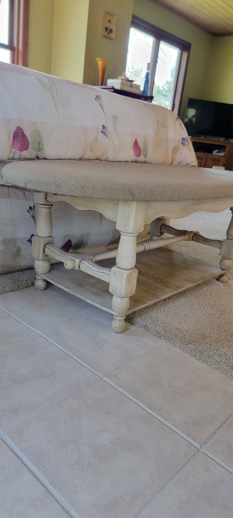 Bench/coffee Table