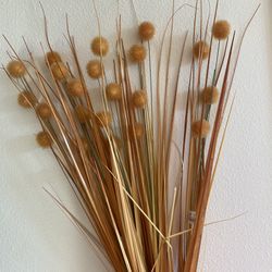 Pier 1 Onion Blooms