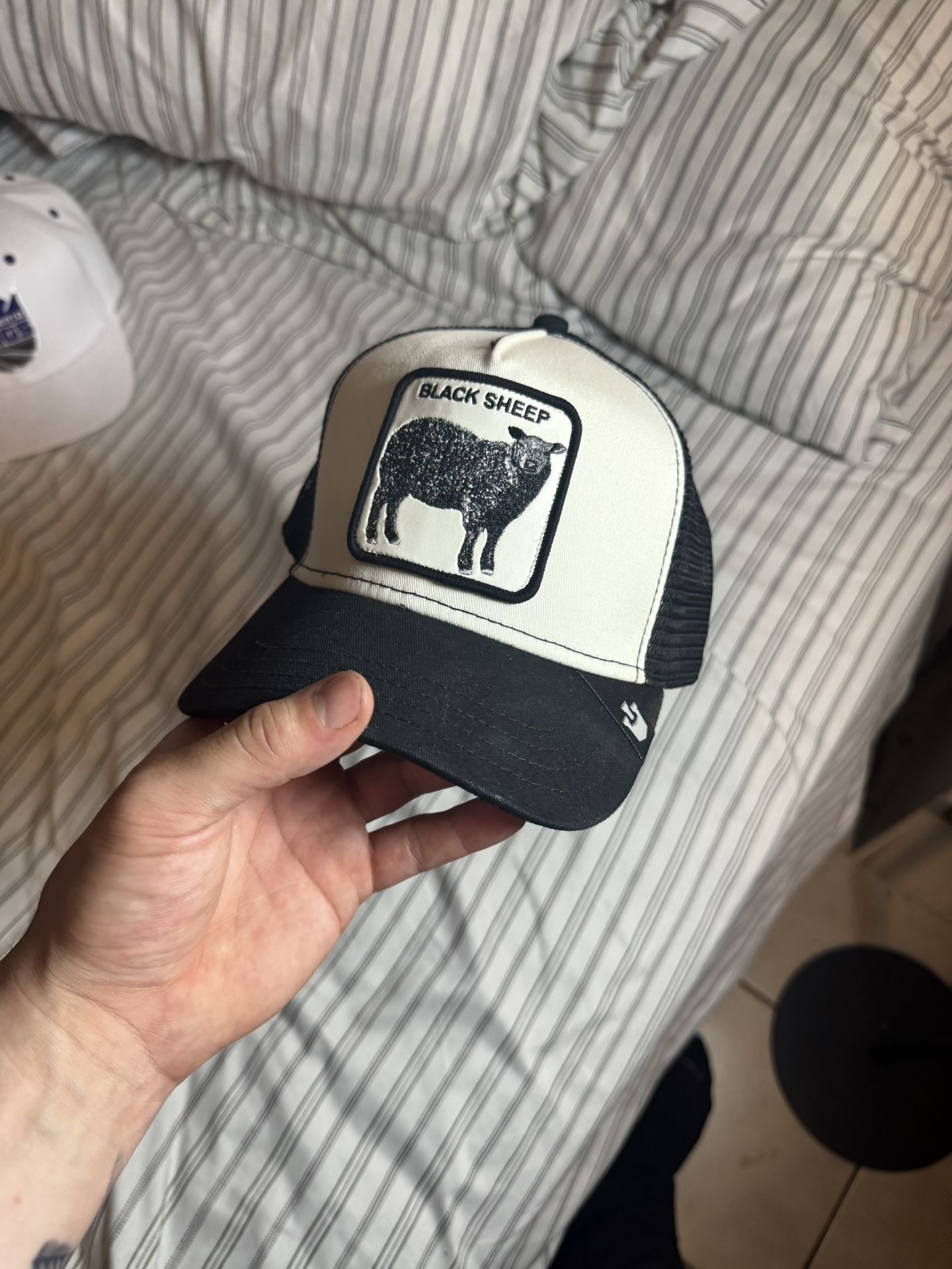 Black Sheep Hat