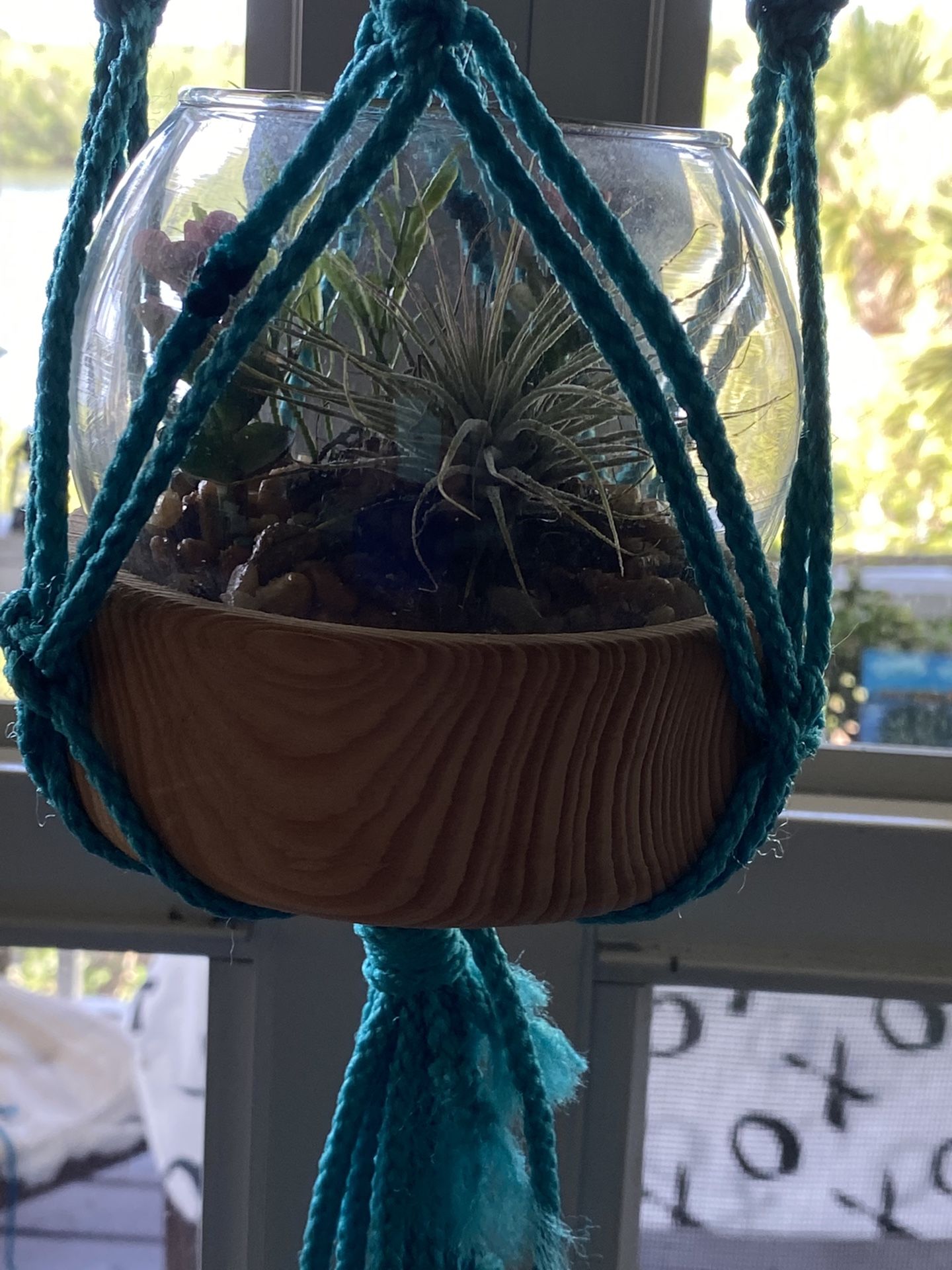 Air Plants Inside Glass Bowl And Macrame Hanging Holder