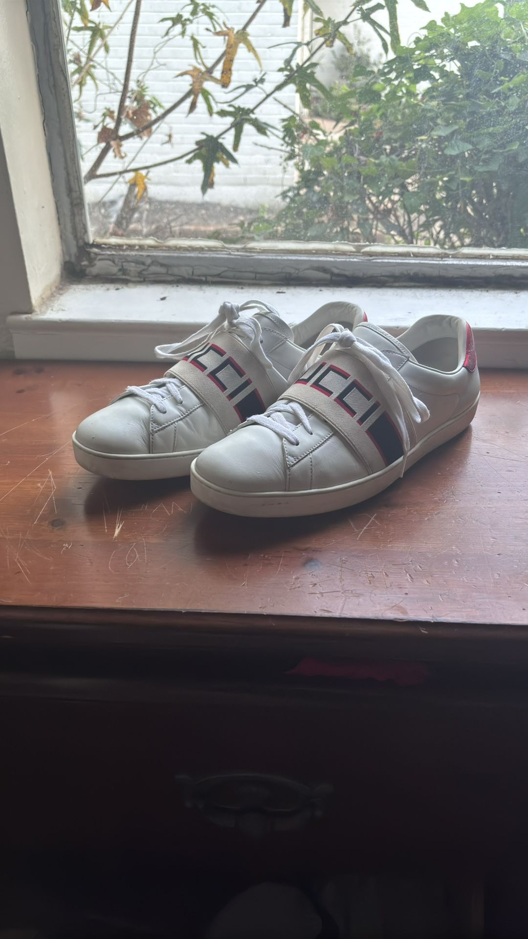 Designer Gucci Ace Web Shoes size 11