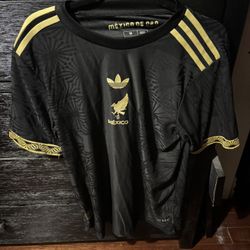MEXICO JERSEY 