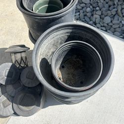 Plant Buckets