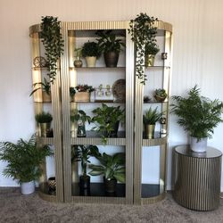 Vintage 80’s Curio 