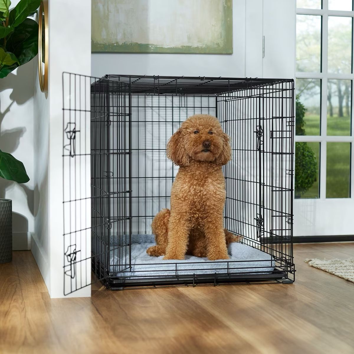 Dog Crate 8