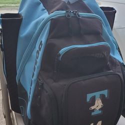DeMarini Bat Bag
