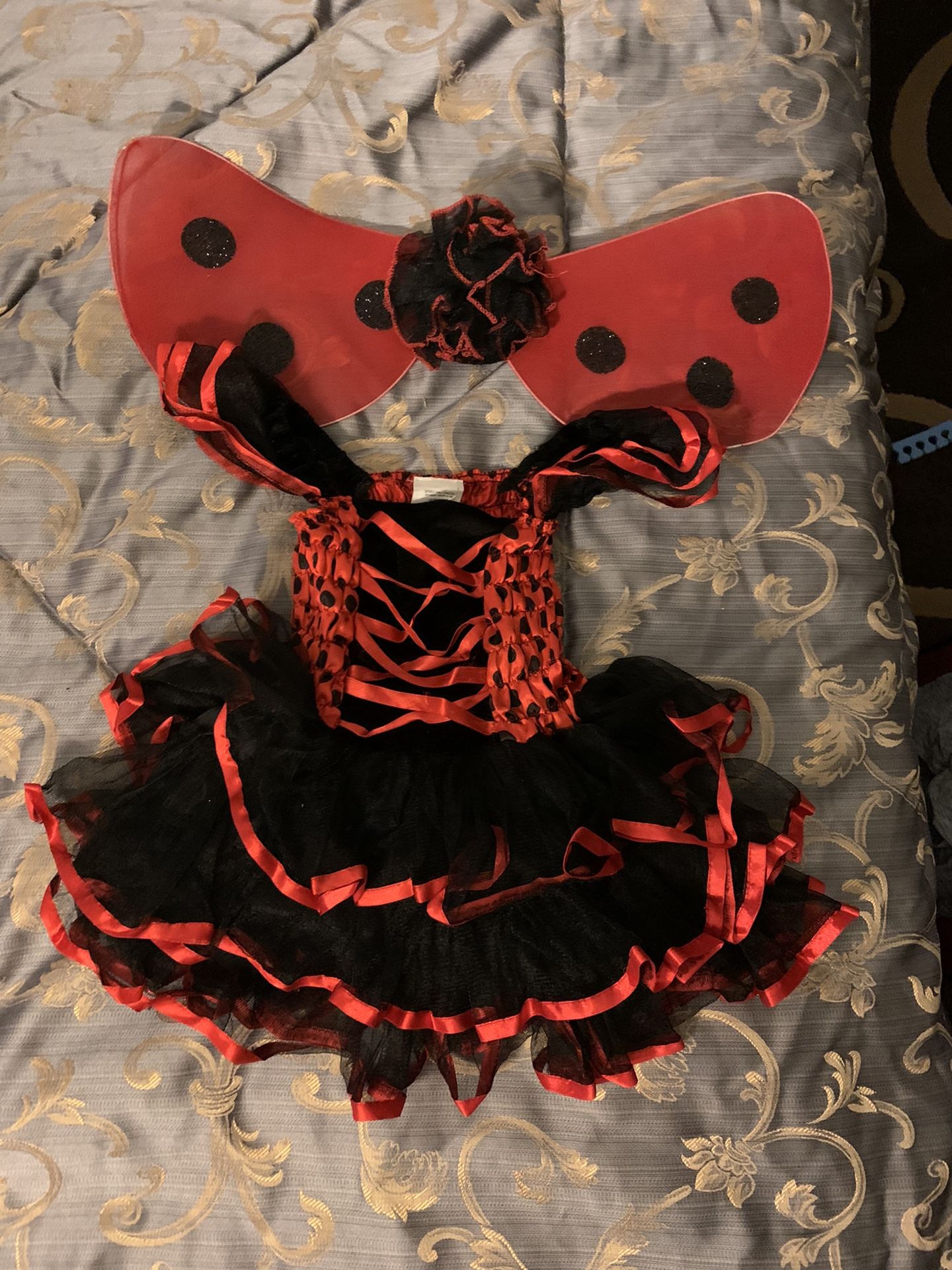 Lady Bug Costume