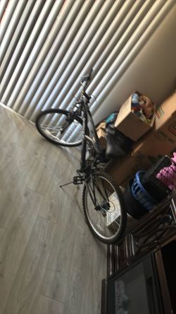 Mountain bike