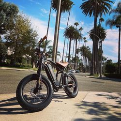 Electric Bikes