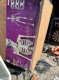 Esqueleto para Halloween 12 ft