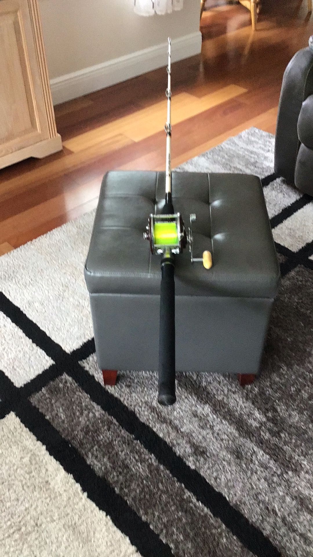6 ft. 6 inch Penn Longbeach Rod,and Penn 309 Leveline Reel.