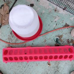 Chicken Feeders