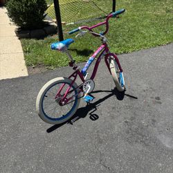 17 Inch Bike 