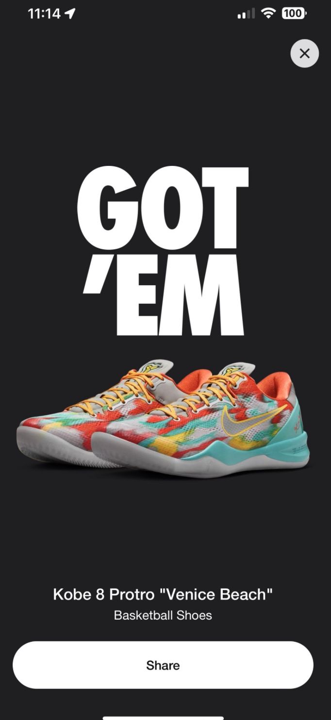 Kobe 8 Venice Beach
