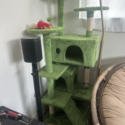 Cute Green Cat Tree