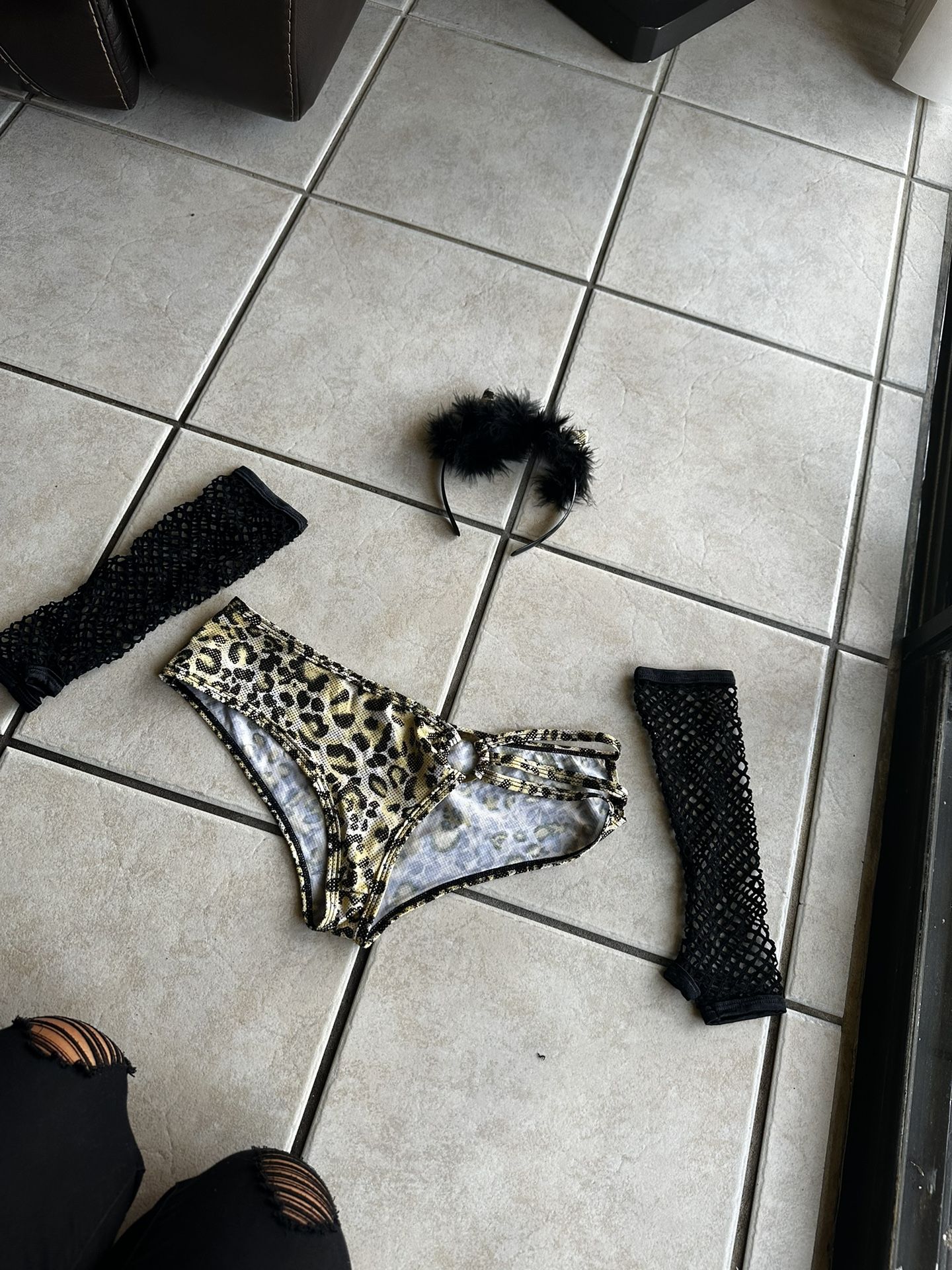 Halloween Cat Accessories