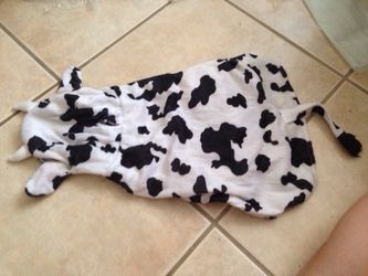 Large dog Halloween costume