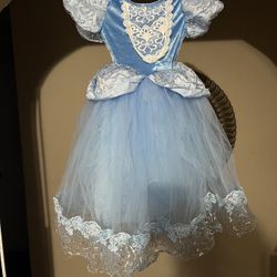 Halloween Cinderella Dress Costume 