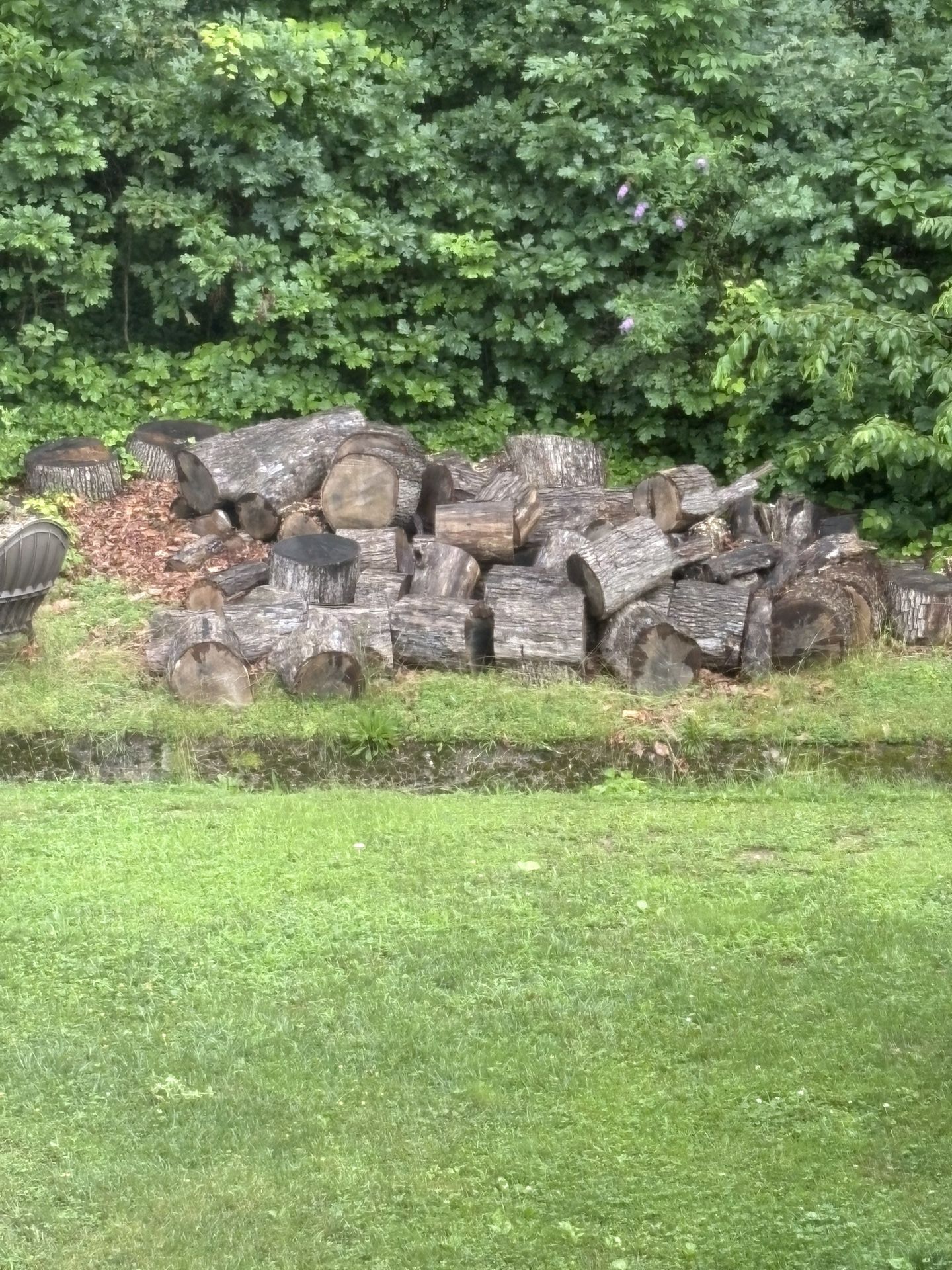 FREE FIREWOOD