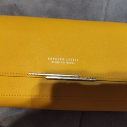 lady's wallet 