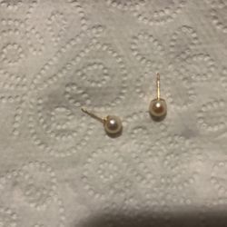 14k Gold South Sea Pearl Earrings 