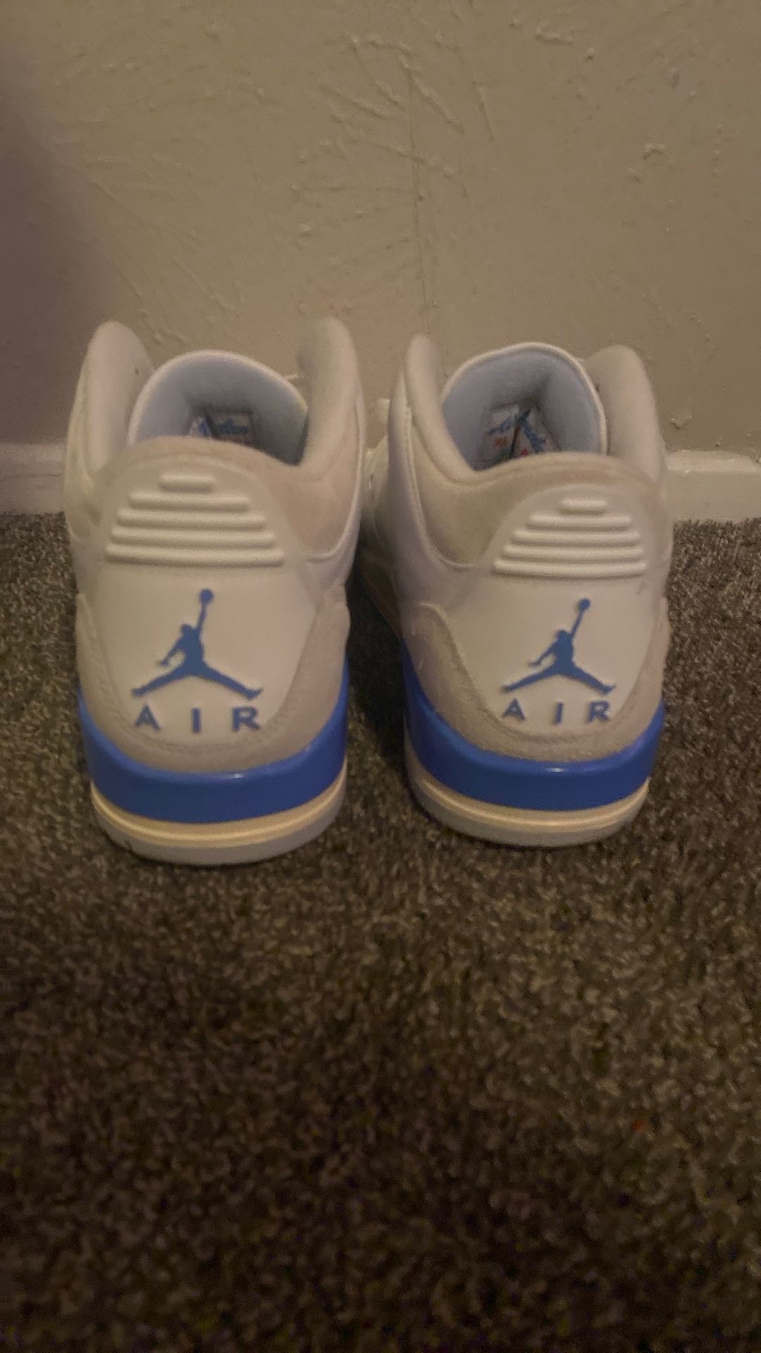 Air Jordan Retro 3s