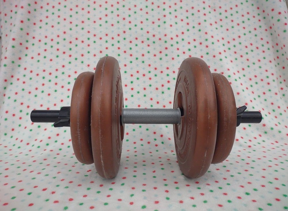 Vintage Sears Robbuck Ted Williams Dumbbell Set