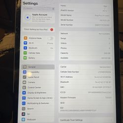 Cracked Screen iPad Pro 11-inch 256GB