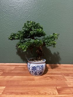 Bonsai Artificial Plant