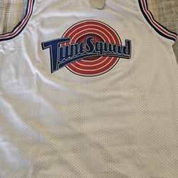 Tune Squad (Space Jam) Jordan Champion
