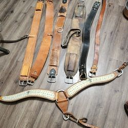 Horse Tack