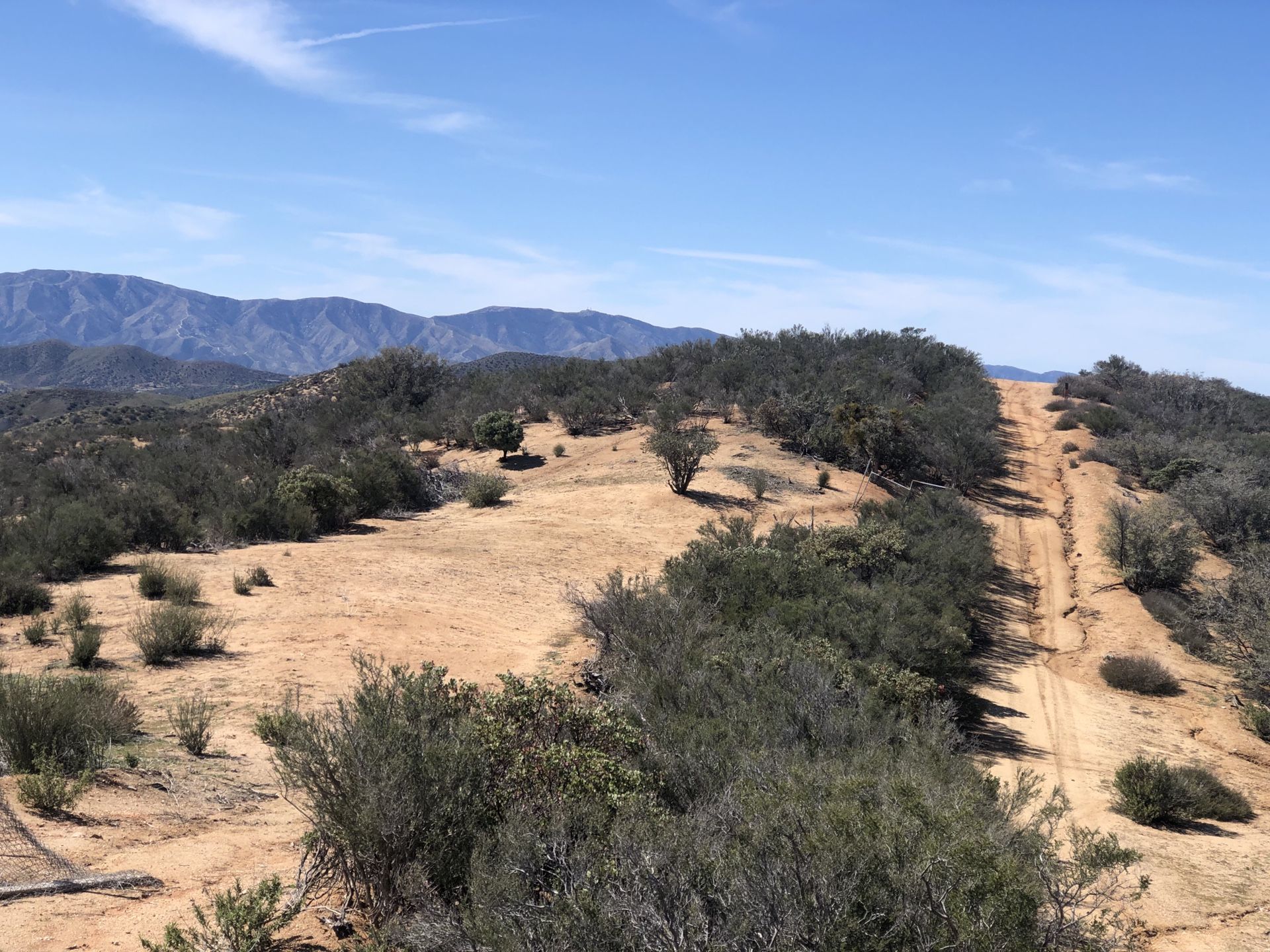 Acton ,ca horse land for sale !!!!