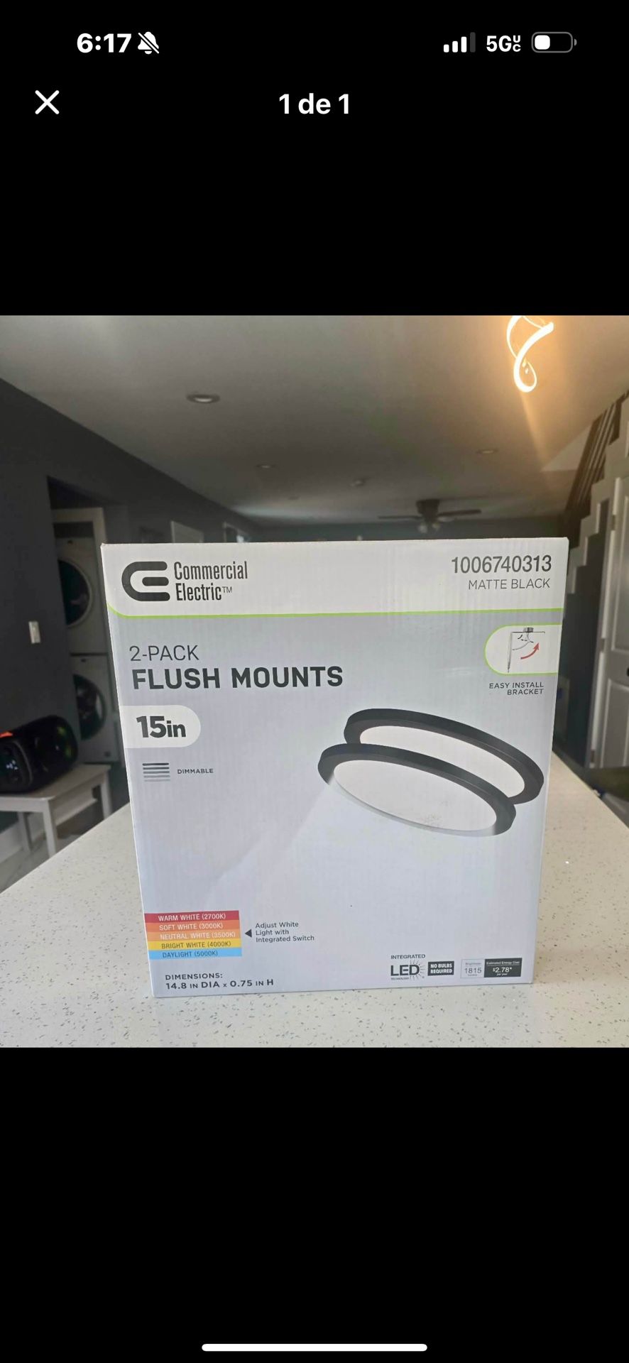 2-pack flush mounts