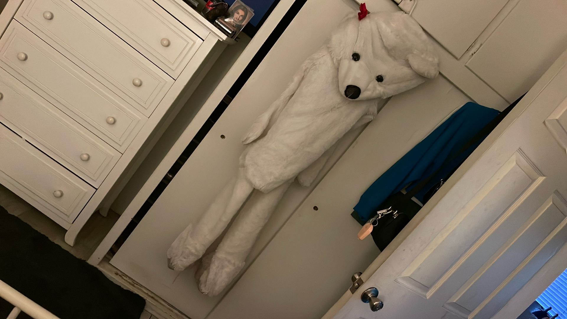 Teddy Bear Costume