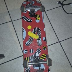 Skateboard Setup 